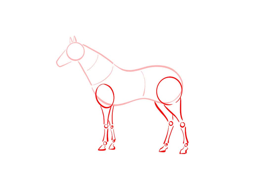 How to draw horses - Step 4