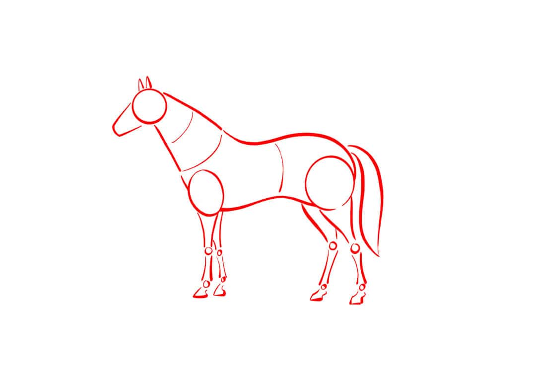 How to draw horses - Step 5
